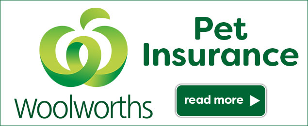 Woolworths Pet Insurance