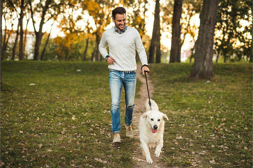 Dog Pulling On Leash | PetsBook