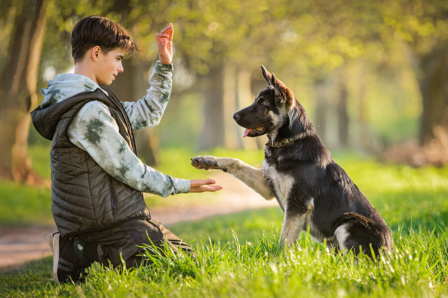 List of Dog Training Commands for Obedience Training