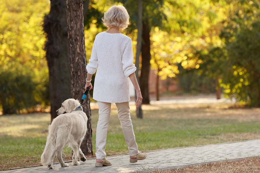 Teaching Your Dog to Leave It