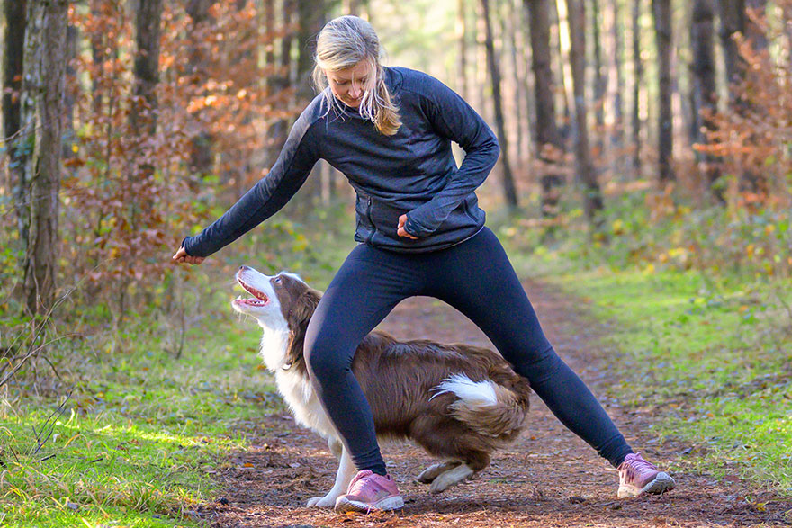 Teaching The Figure 8 Spin Command | PetsBook